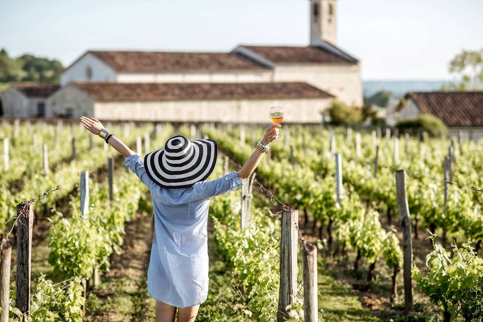 Enjoy the winery